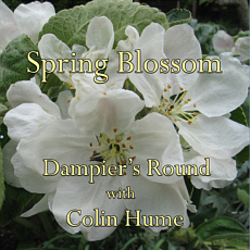 CD cover