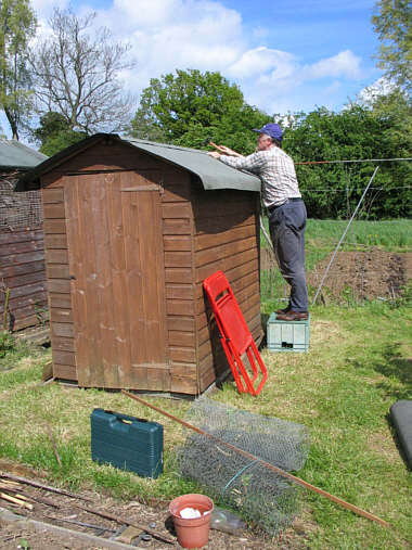 Felting the shed roof Felting the shed roof