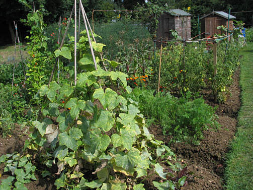 Growing well Growing well