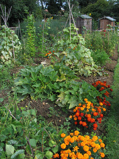 Growing well Growing well