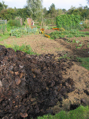 Heap of manure Heap of manure